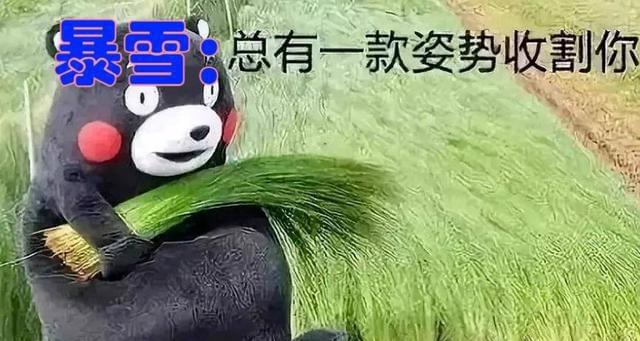 魔兽世界 魔兽世界